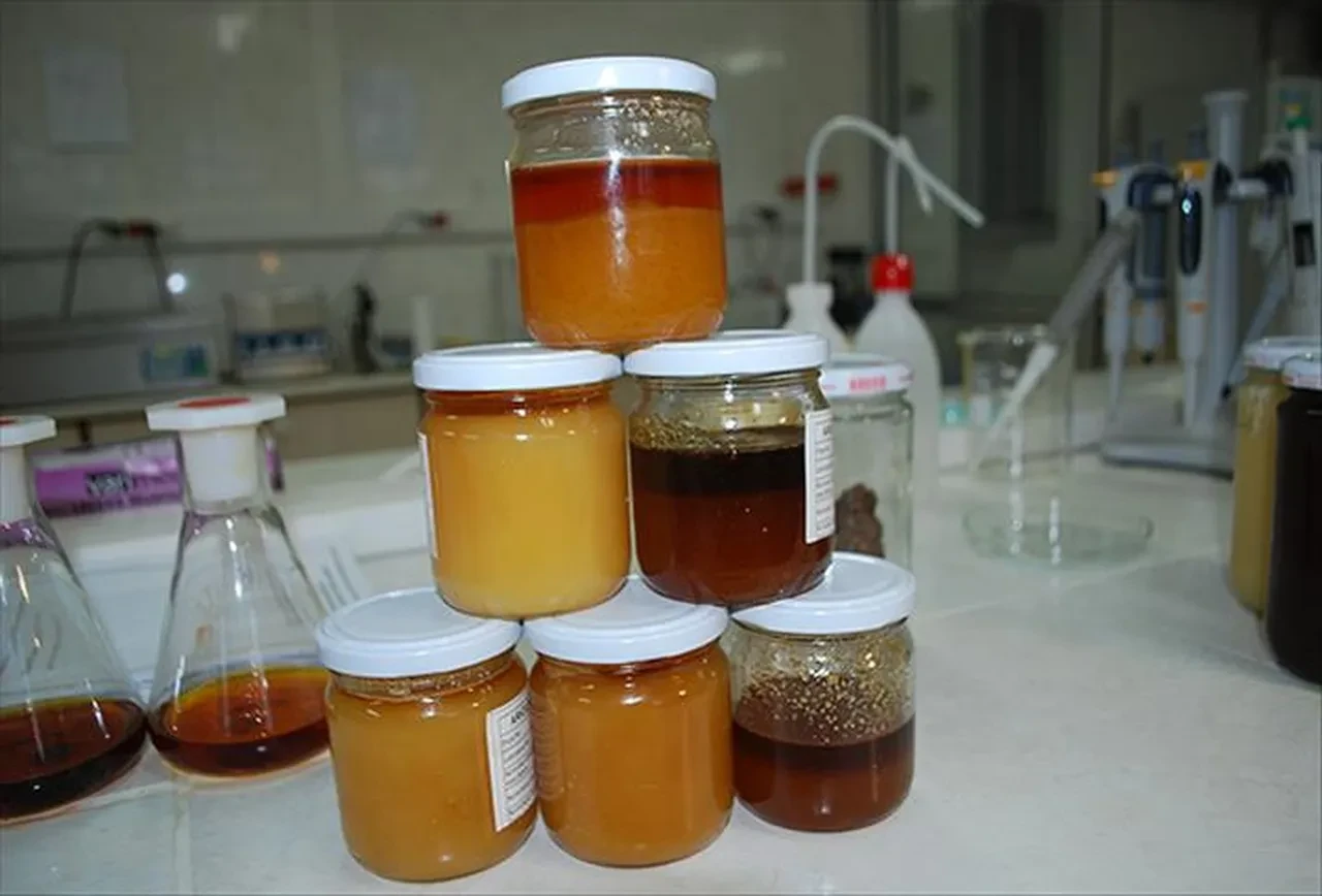 Hakiki balı şipşak anlayacaksınız! Gerçek ile sahte balı anlamanın püf noktası