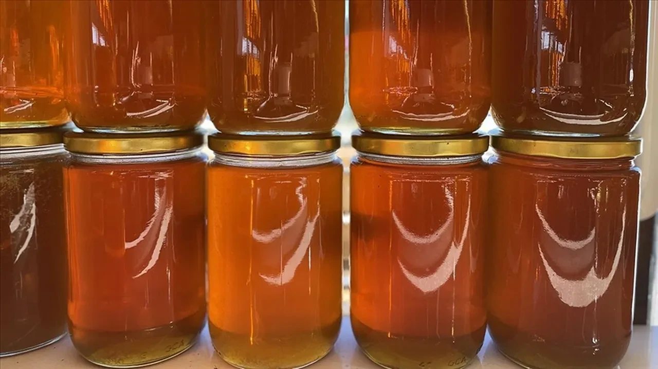 Hakiki balı şipşak anlayacaksınız! Gerçek ile sahte balı anlamanın püf noktası