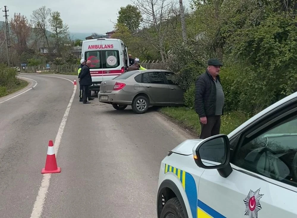 Sokak köpeklerine çarpmamak için kaza yaptı: 2 yaralı