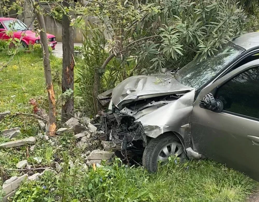 Sokak köpeklerine çarpmamak için kaza yaptı: 2 yaralı