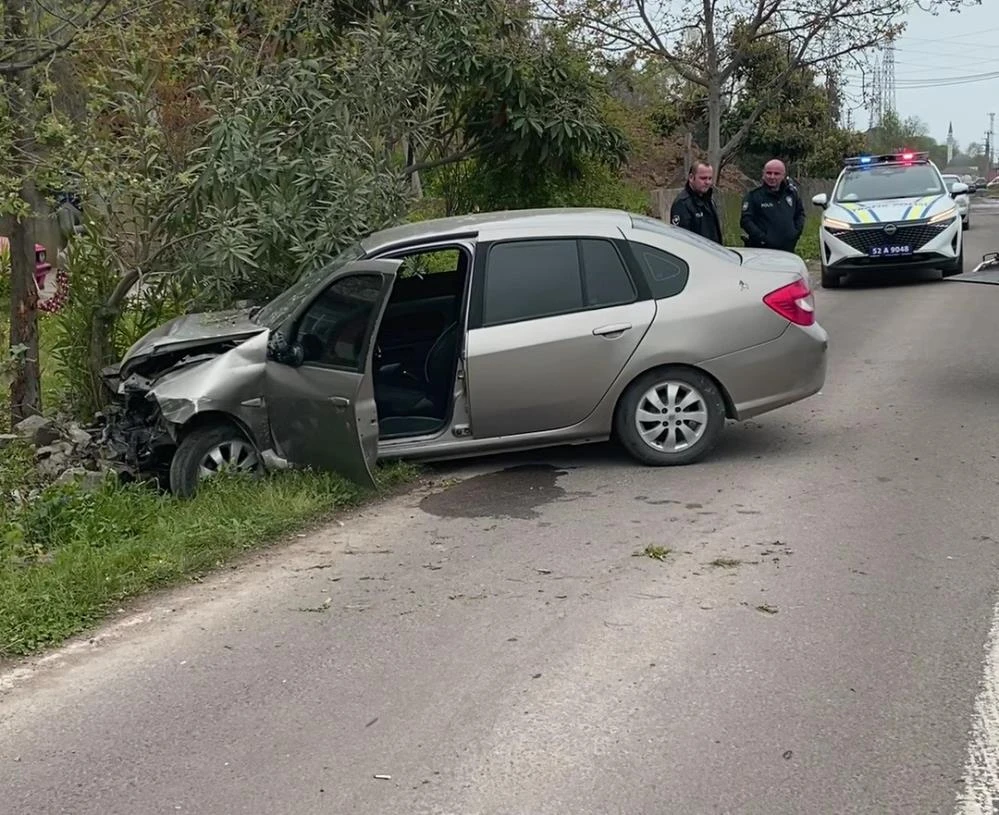 Sokak köpeklerine çarpmamak için kaza yaptı: 2 yaralı
