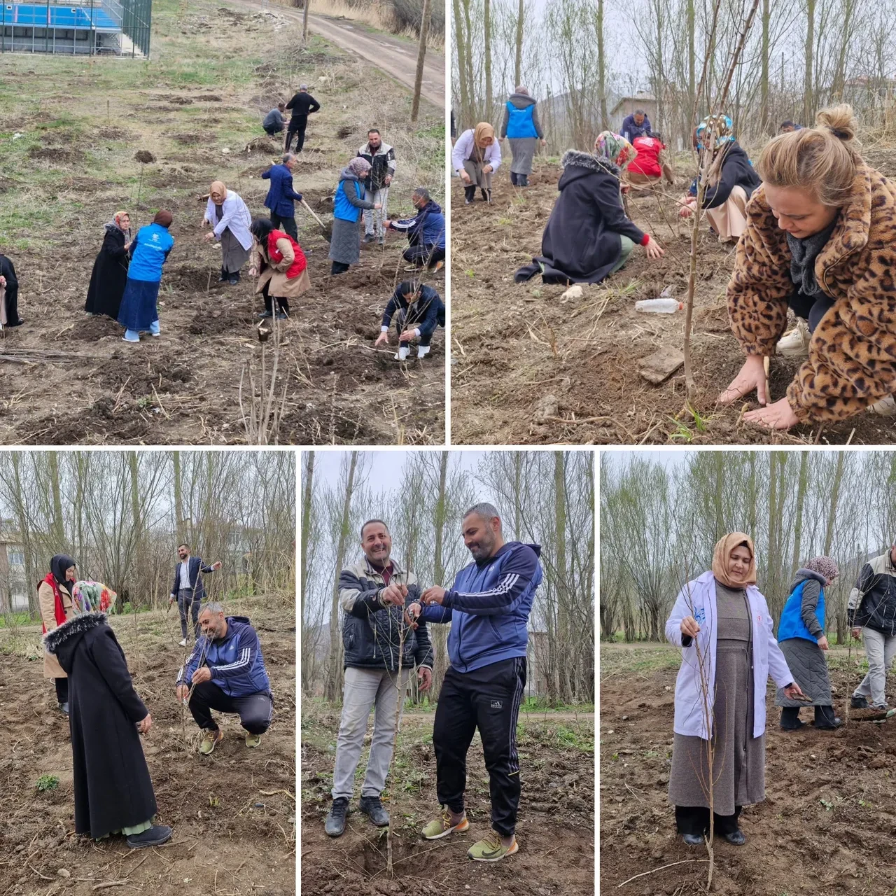 Vangölü Aktivistleri kent planlaması için harekete geçti!