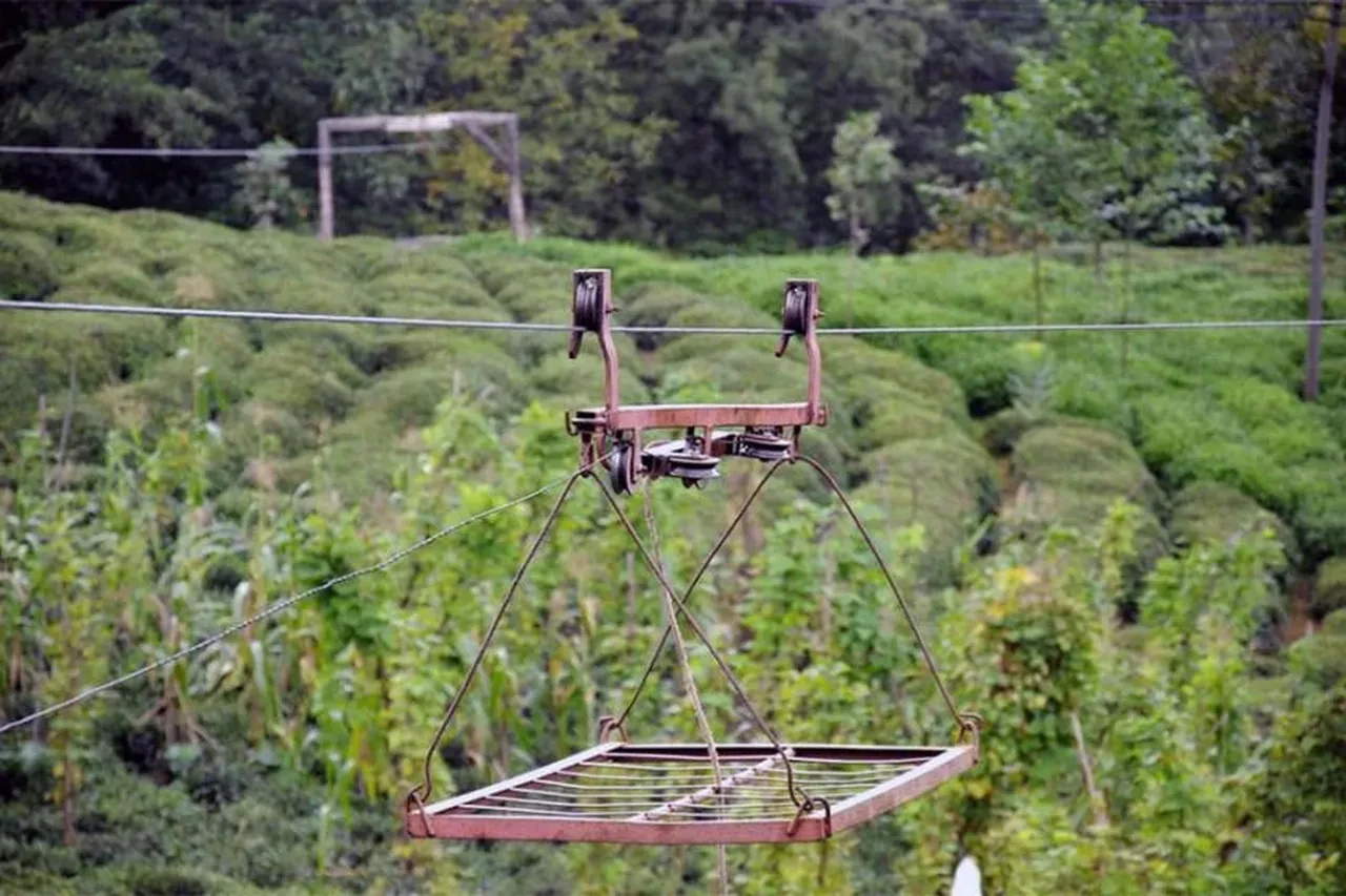Rize'de teleferik can aldı! Soruşturma başlatıldı