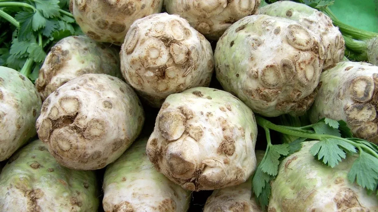 Seven az, faydası çok: Bu sebze bağışıklık ve sindirim sistemine ilaç etkisi veriyor