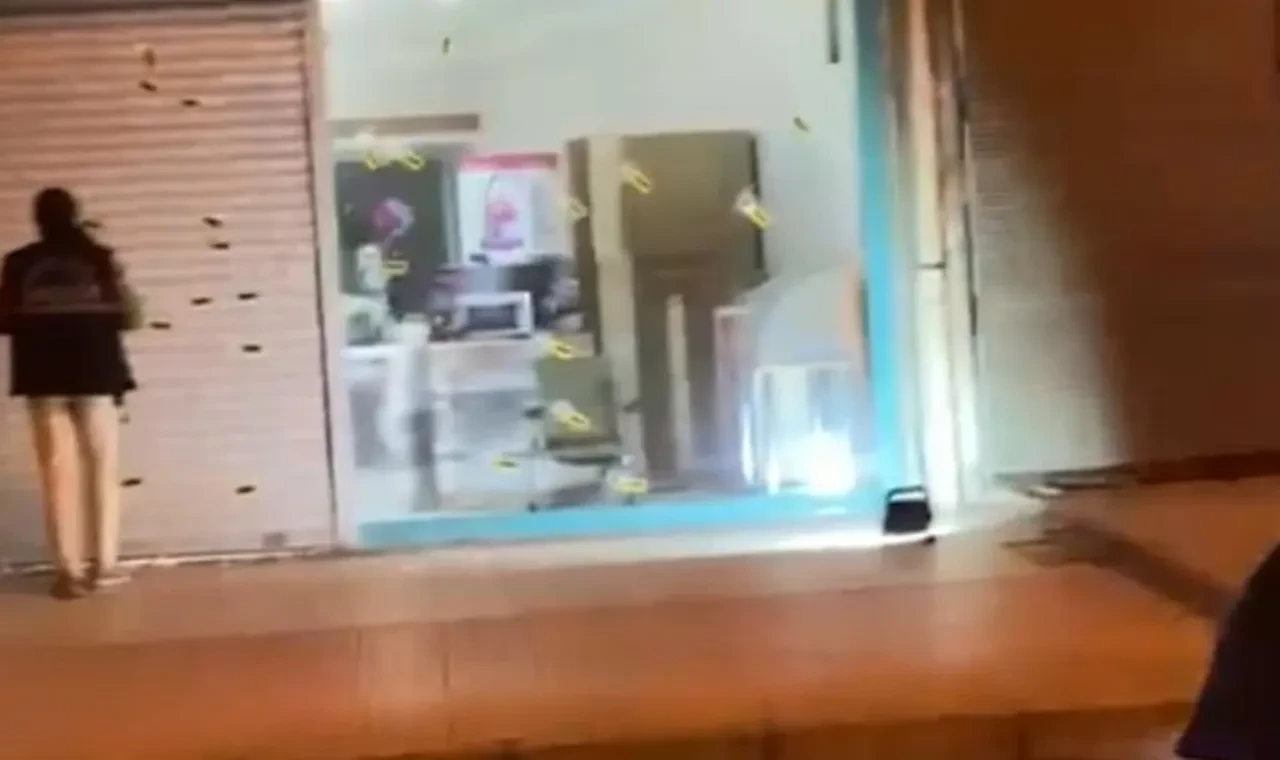 Adana'da bir iş yerini delik deşik ettiler! Ekipler 57 kovan buldu