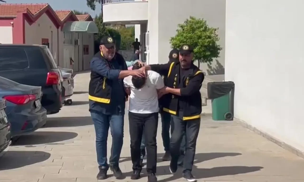 Adana'da bir iş yerini delik deşik ettiler! Ekipler 57 kovan buldu
