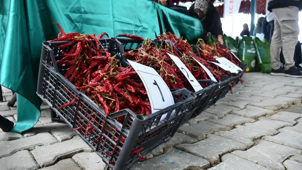 Acı biber ömrü uzatıyor mu? İşte faydaları ve zararları