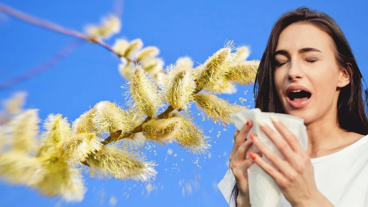 Bahar alerjisini bıçak gibi kesip atıyor! Sabah akşam birer kez yapmak yeterli oluyor