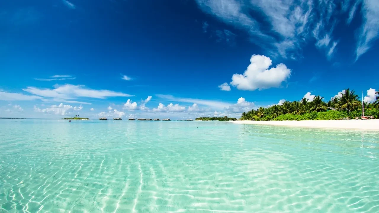 Bu rengi sadece 5 kişi görebildi! Milyarlarca yıldır kimse göremiyor