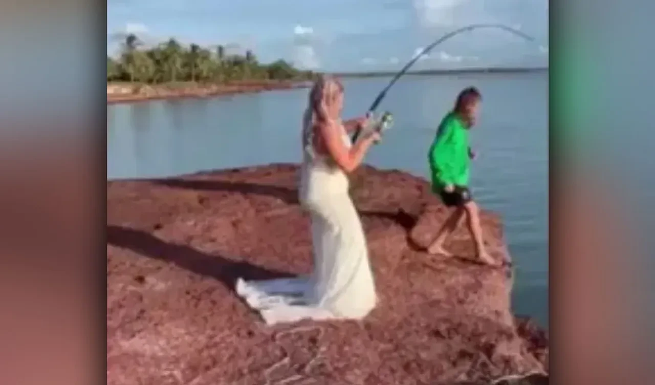 Düğünün davetsiz misafiri bir köpek balığı oldu! Gelin unutulmaz bir an yaşadı