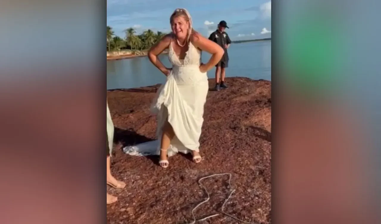 Düğünün davetsiz misafiri bir köpek balığı oldu! Gelin unutulmaz bir an yaşadı