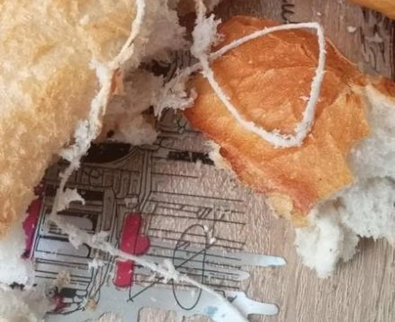 Elazığ’da ekmeğin içinden çıkan şoke etti!