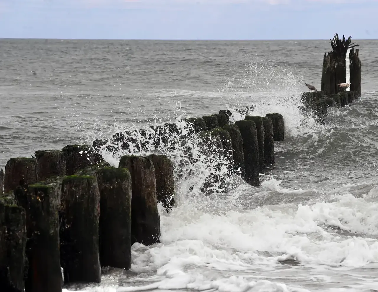 Sörfçü ölümcül iskeleye sıkışıp kaldı, kimse fark edemedi