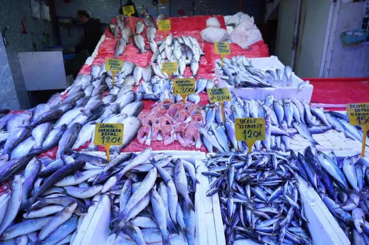 Balıkçı esnafı mutlu! Soğuk havalar yaradı