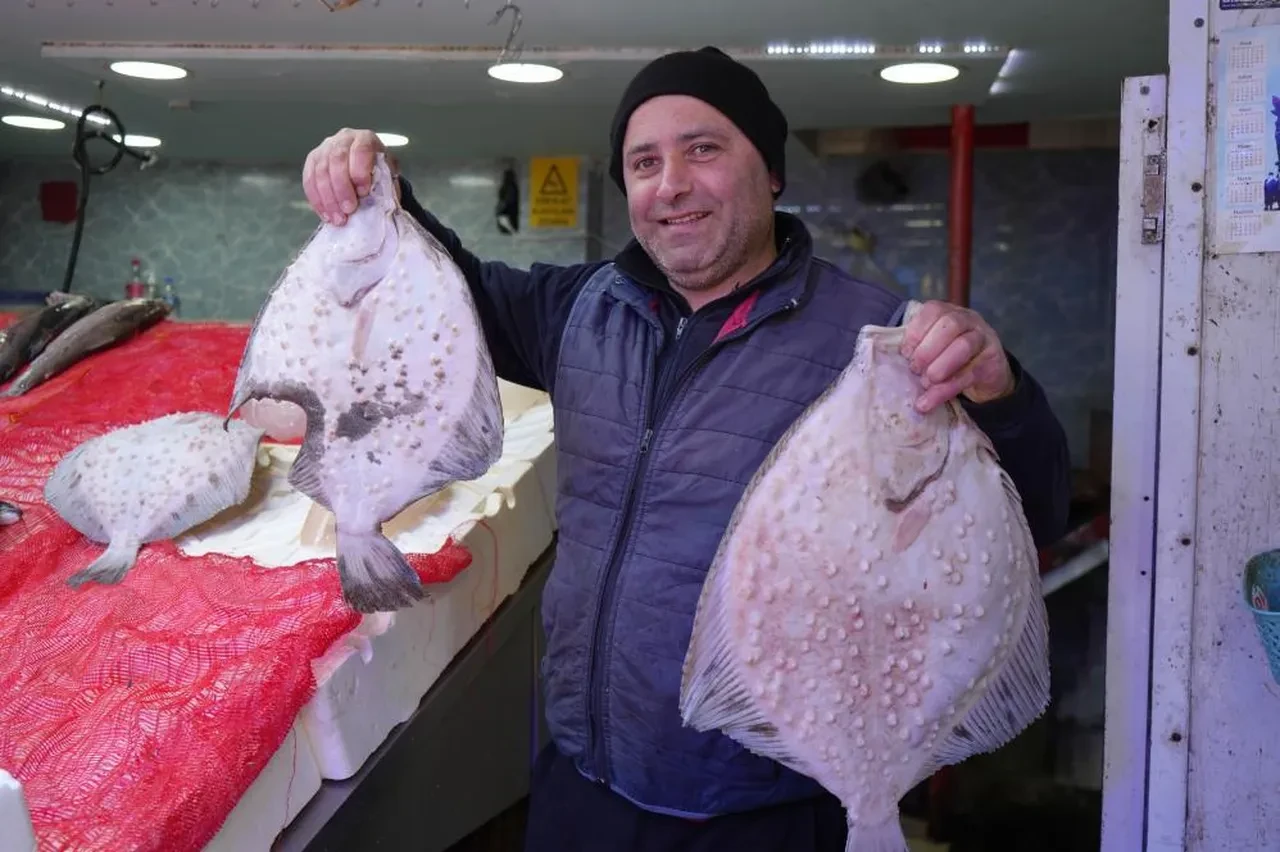 Balıkçı esnafı mutlu! Soğuk havalar yaradı