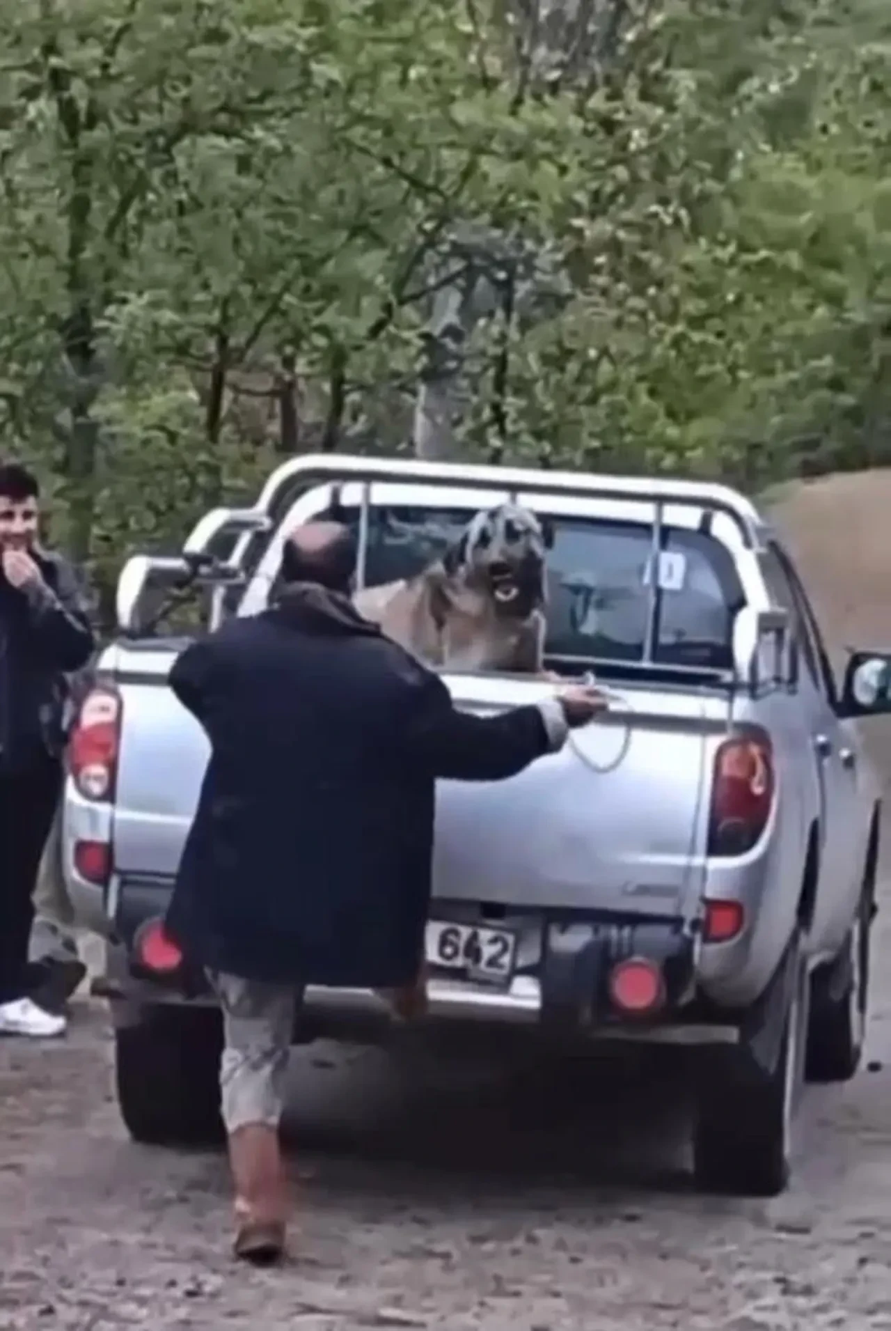 Defalarca halatla vurdu! Trabzon'da köpeğe şiddet uygulayan cani gözaltına alındı