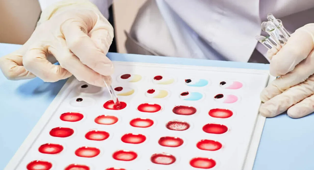 En Zor Bulunan Kan Grubu Hangisi? Kan Grupları Ne Sıklıkla Bulunur?