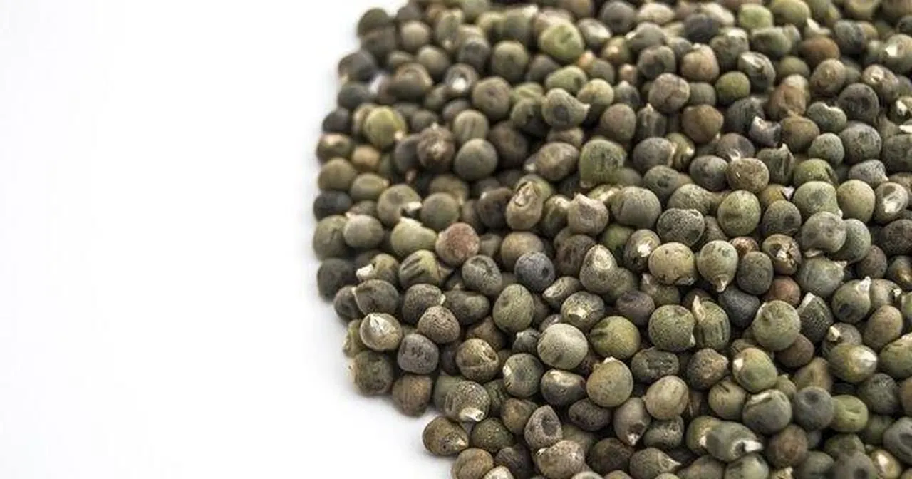 Günde 1 fincan içmek yeterli! Ne şeker ne kolesterol karşısında duramıyor