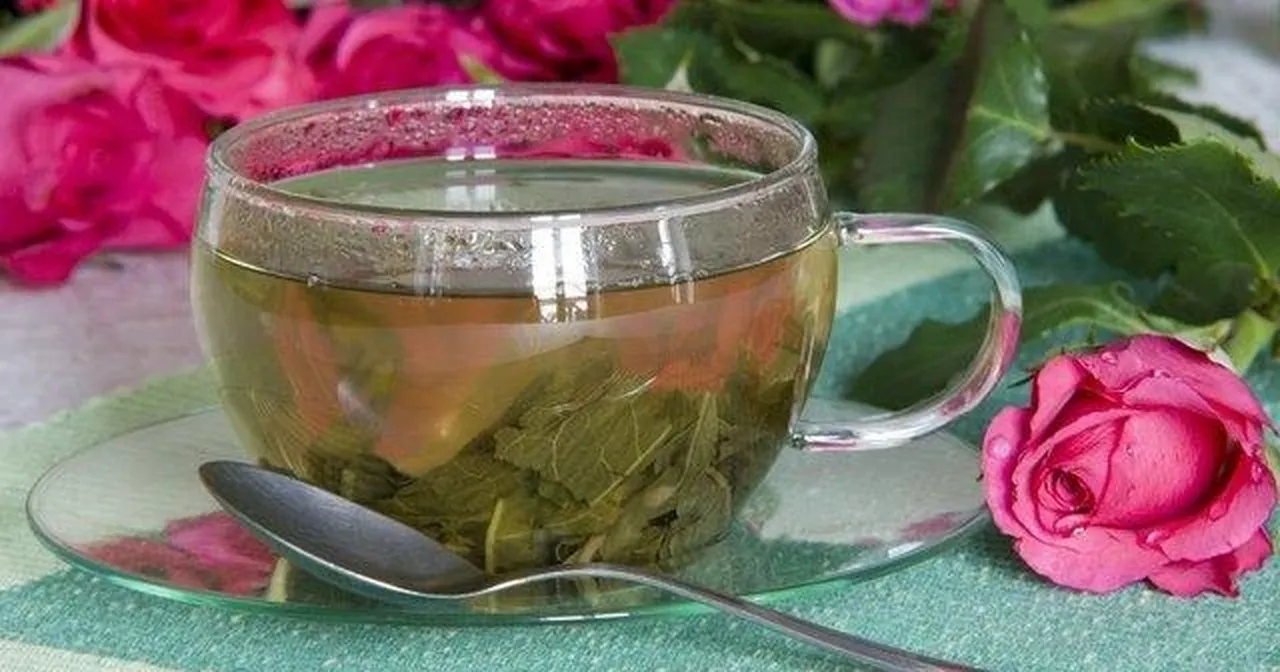 Günde 1 fincan içmek yeterli! Ne şeker ne kolesterol karşısında duramıyor