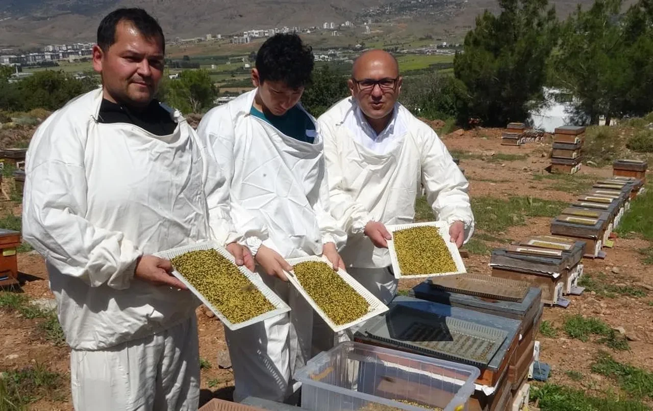 Hasadı başladı! Kilosu Bin 300 TL'den satılıyor, her gün 1 kaşık tüketilmeli