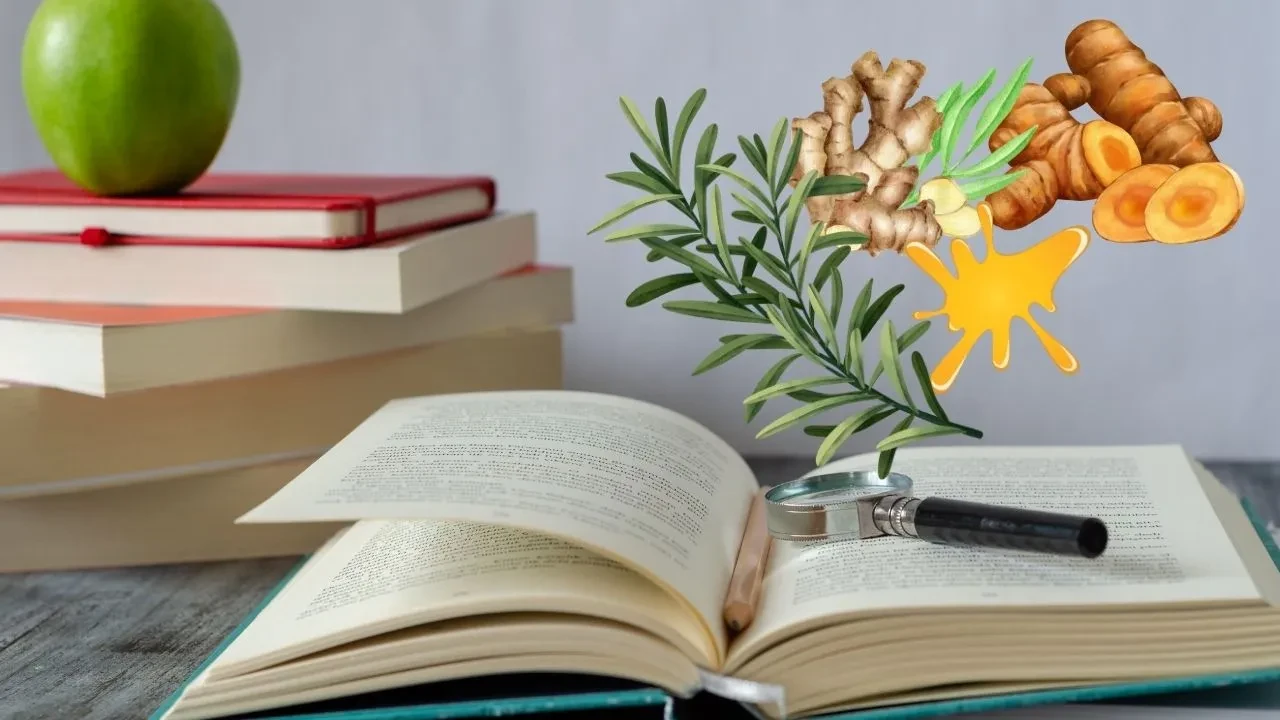 Sınav haftasının vazgeçilmezi oldu! Bu besinleri tüketenin zihni açılıyor