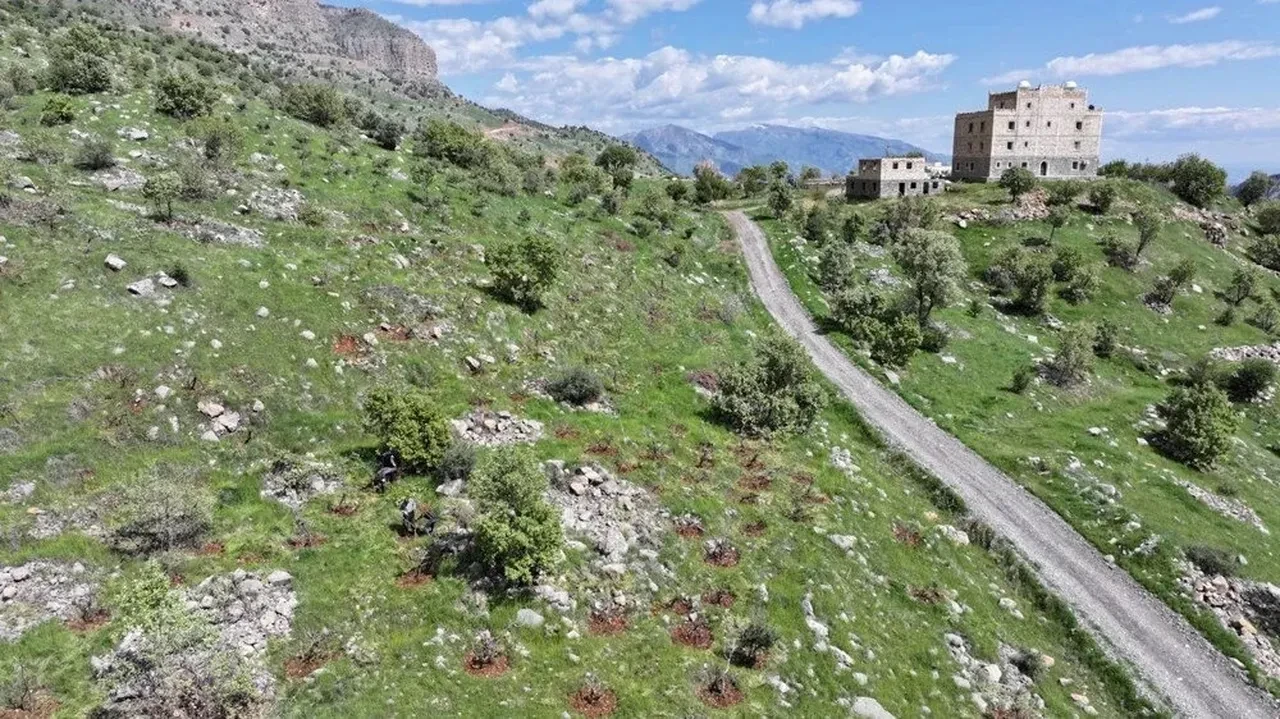 Yıllardır yaşadığı Paris'ten Silopi'ye göçtü! Tek isteğini açıkladı