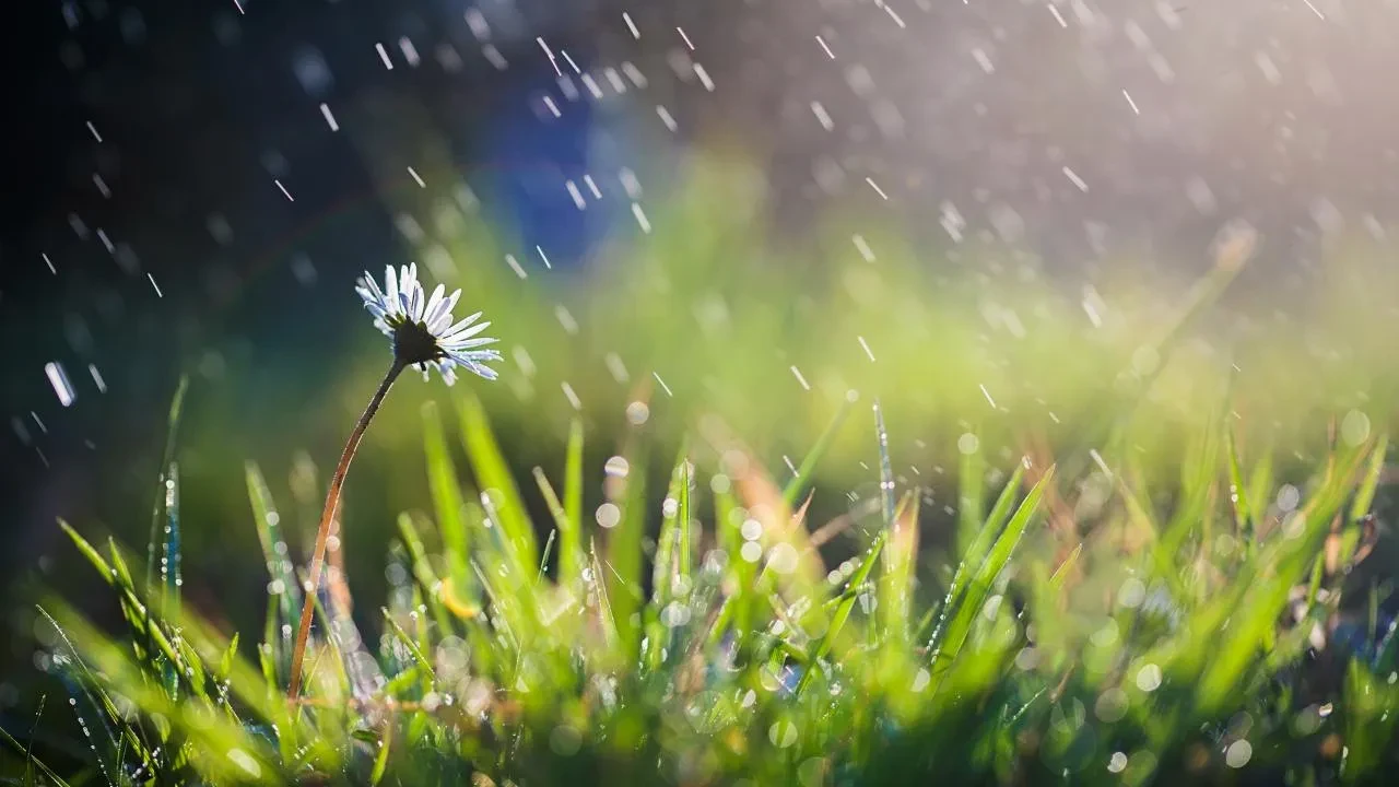 22 Nisan hava durumu  | Güneşin tadını çıkarın, yağmur dönüyor! Meteoroloji uyardı