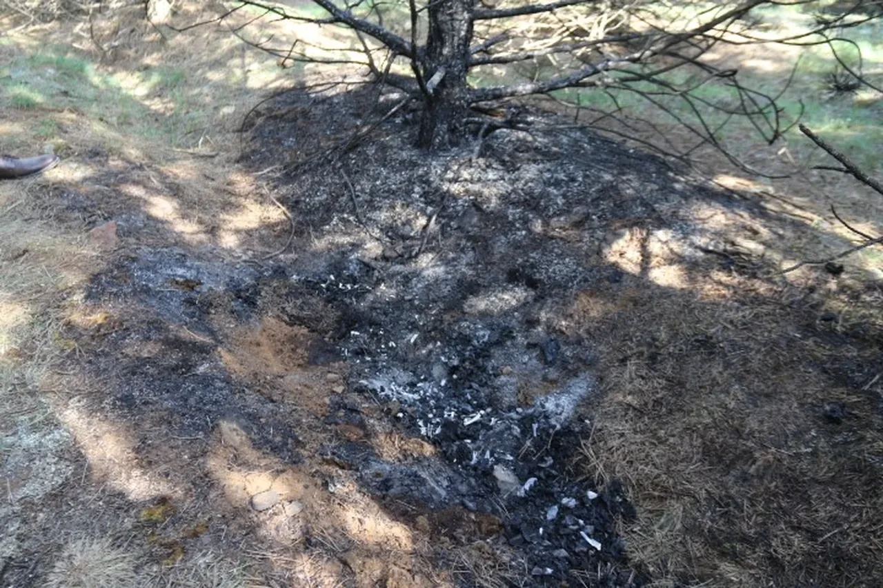 Eskişehir'de 1 haftadır aranan kadından acı haber! Korkunç cinayet ortaya çıktı