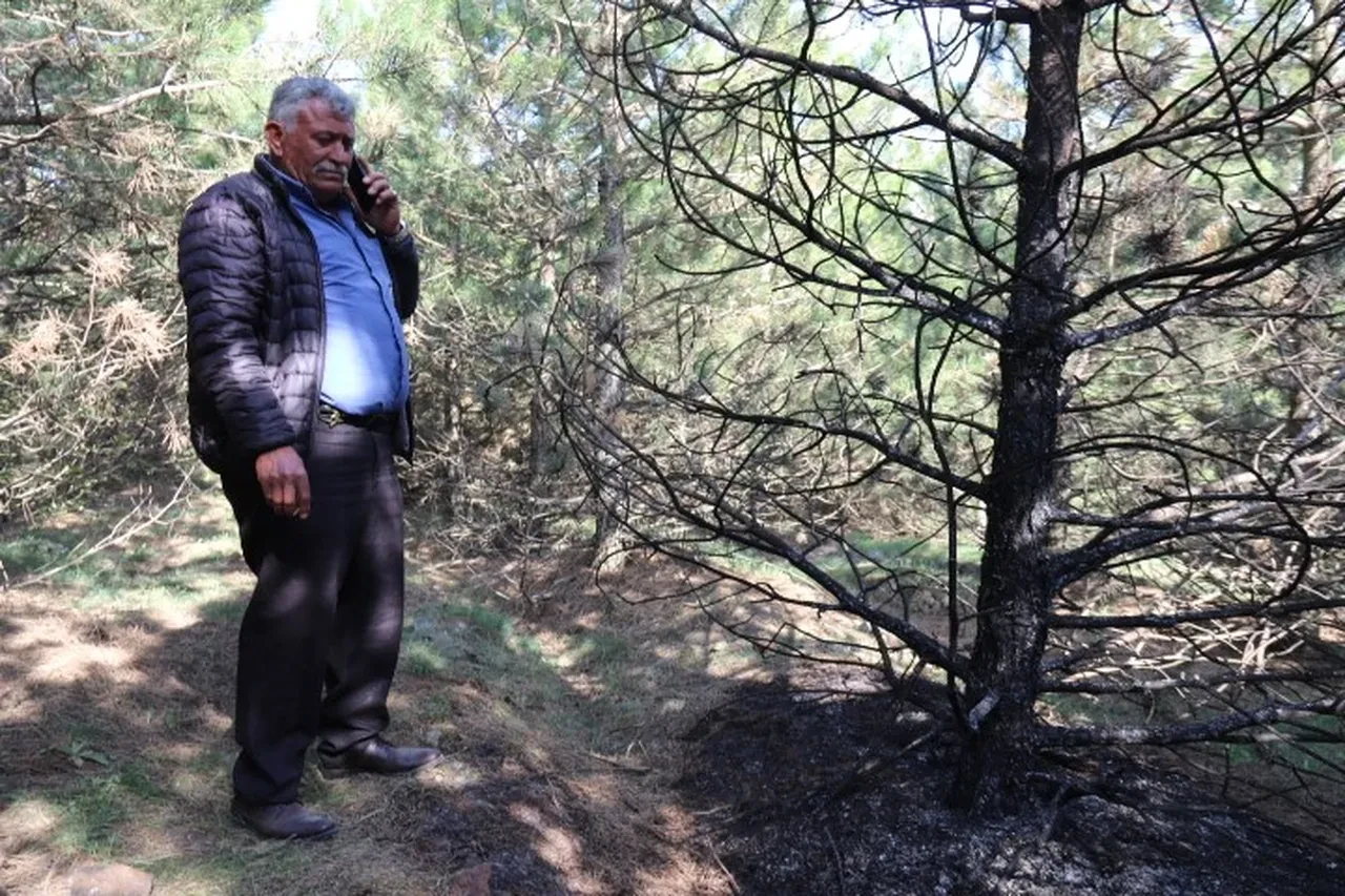 Eskişehir'de 1 haftadır aranan kadından acı haber! Korkunç cinayet ortaya çıktı