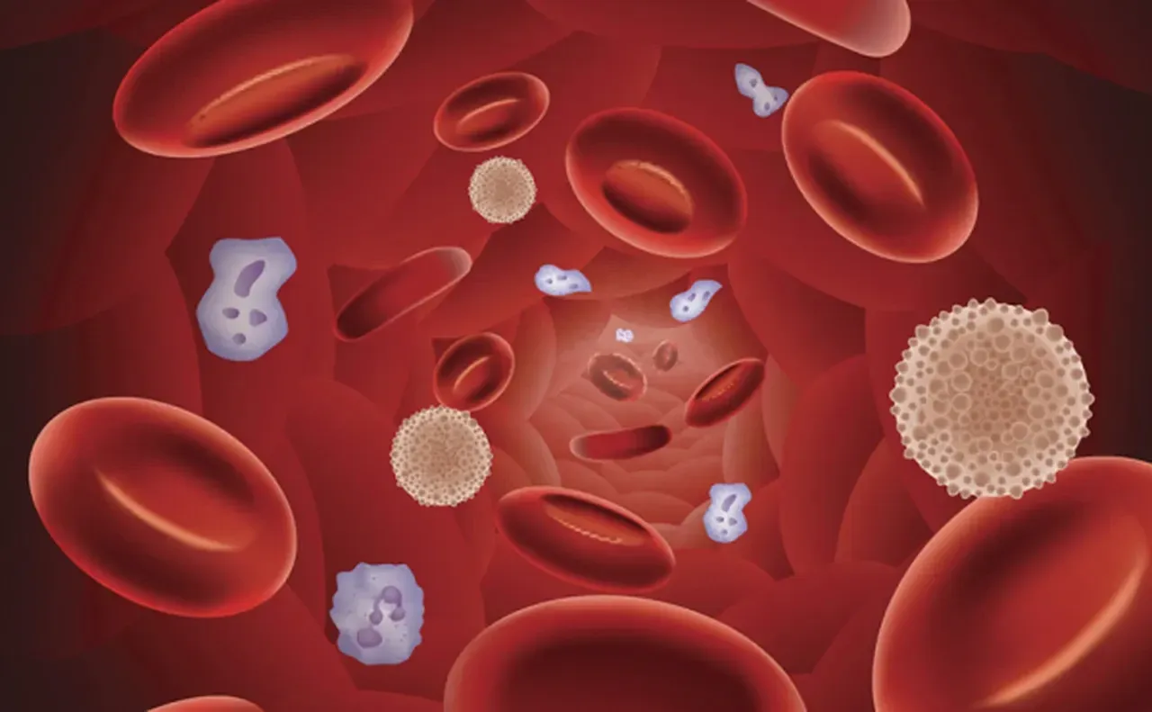 Kan grubunu öğrenme: Kan grubu nasıl öğrenilir ve nereden bakılır?