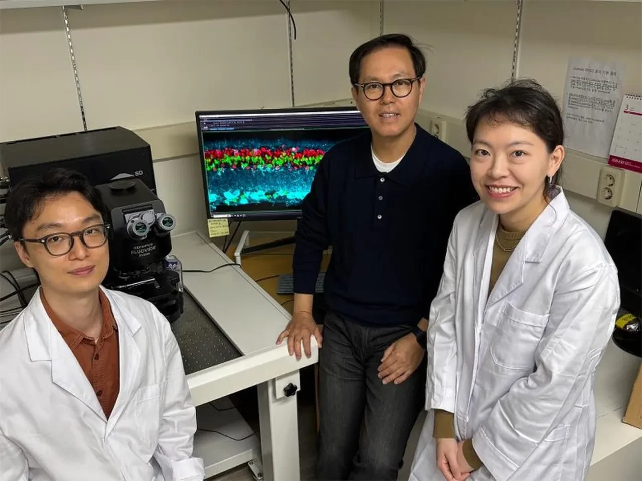 Körlük tarih oluyor! Retina hasarını yok eden tedavi geliştirildi