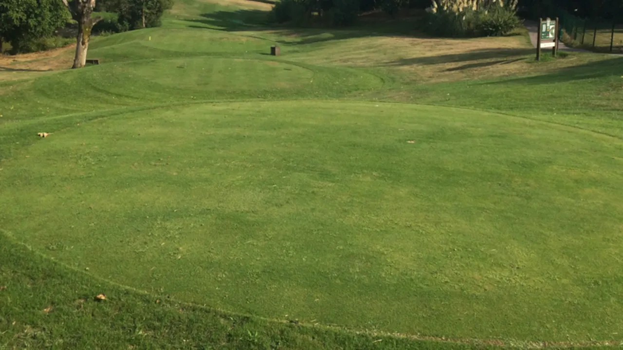 Sahada ortaya çıktı hem korkuttu hem de şaşırttı! Dünyanın en zehirli ikinci yılanı