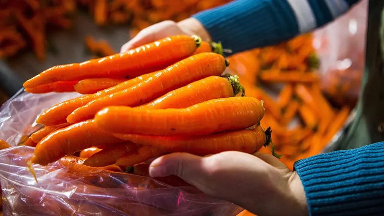 Ne göbek kalıyor ne açlık hissi! Sadece 2 malzemeyle 7 günde 7 kilo verdiriyor