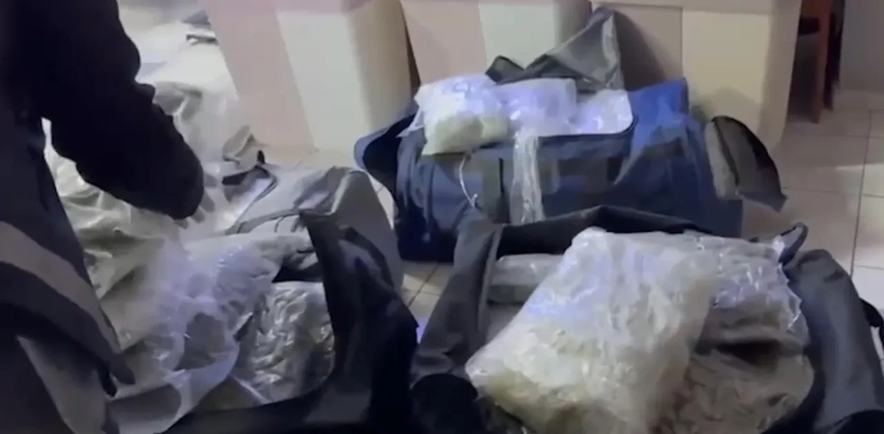 Petshop uyuşturucu deposuna dönmüş! Çok sayıda gözaltı var