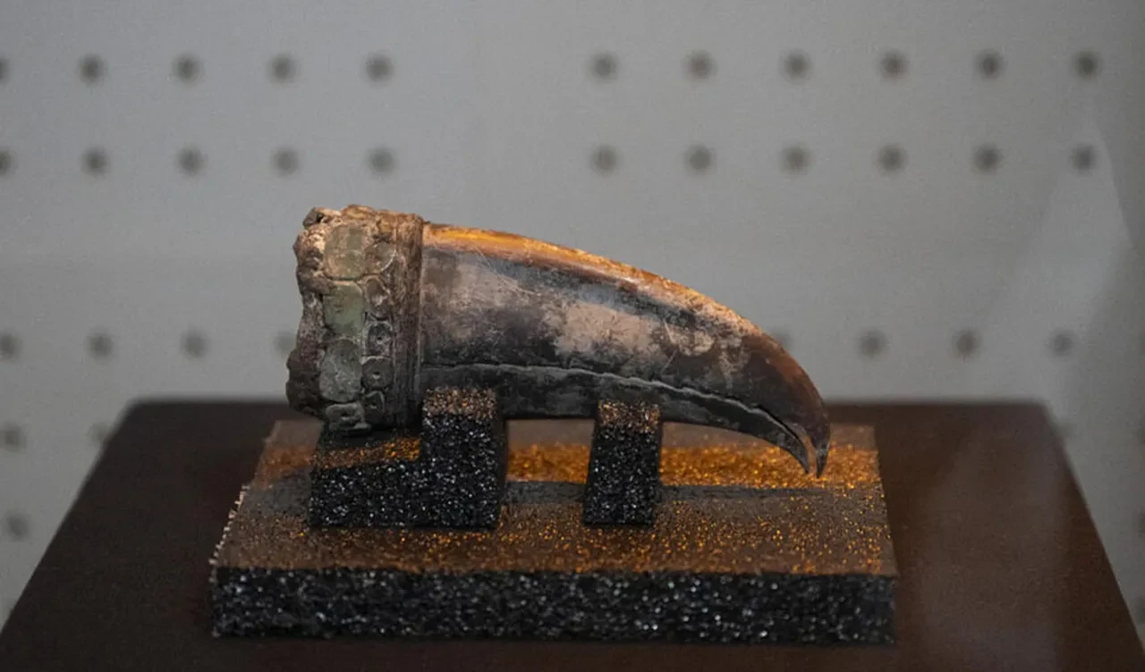 Geçmişe ışık tutacak keşif! 5 bin yıllık soylu kadın mezarı bulundu