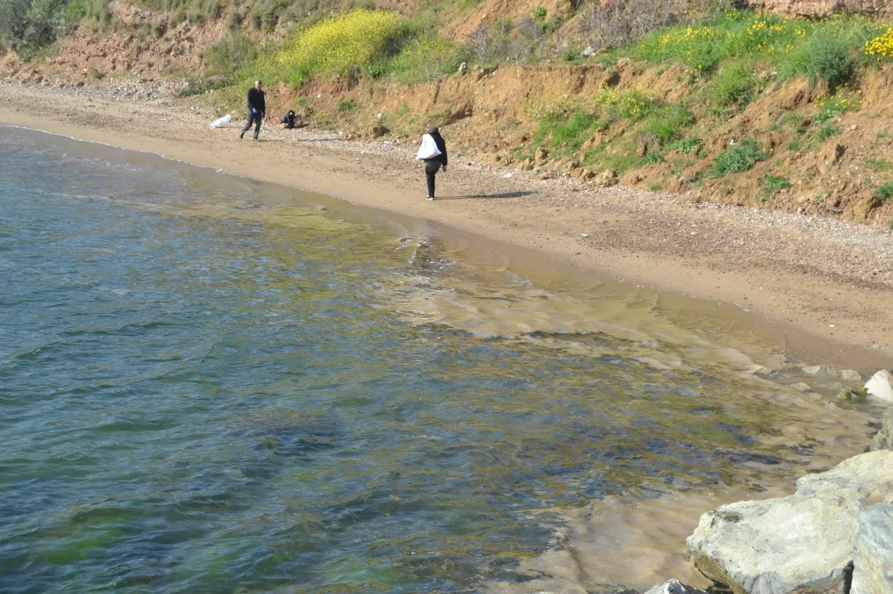 Yalova’da müsilaj görüldü: Köpüksü tabaka oluştu!