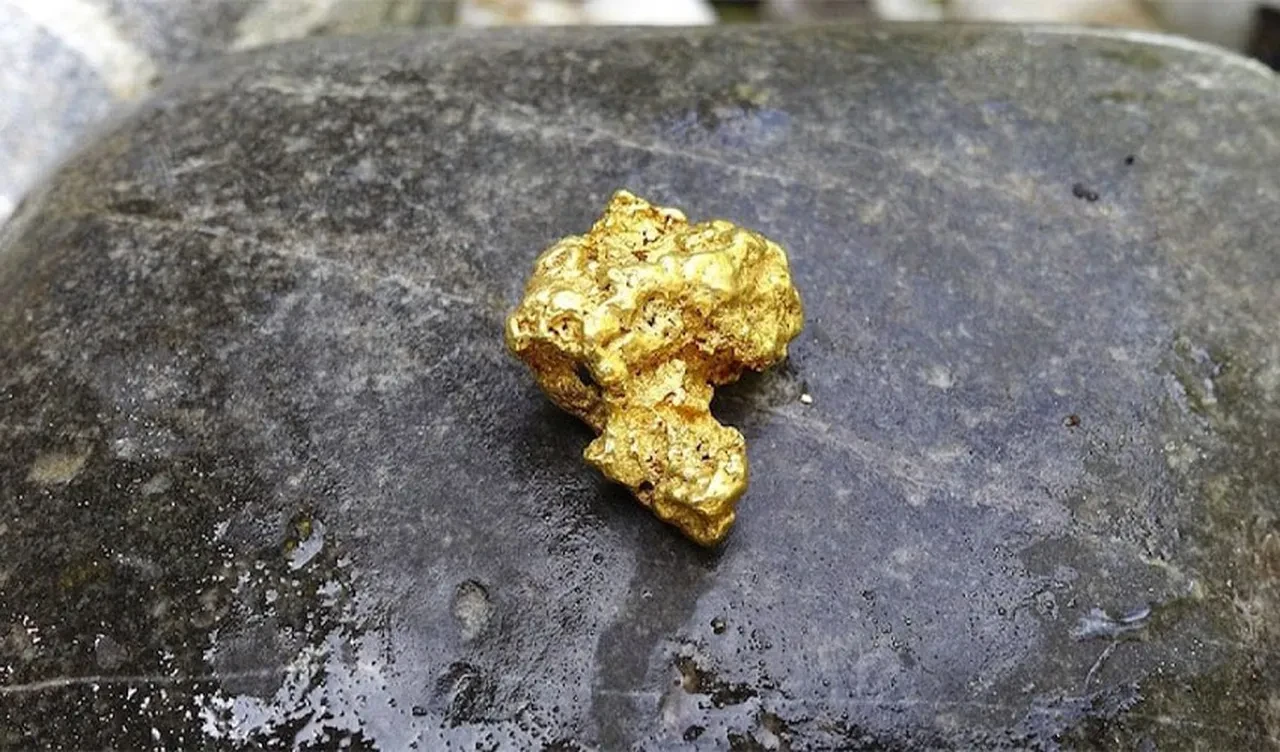 Yaptığı keşif sonrası ülkeyi ayağa kaldırdı! Parlayan taşa yaklaşınca gözlerine İnanamadı