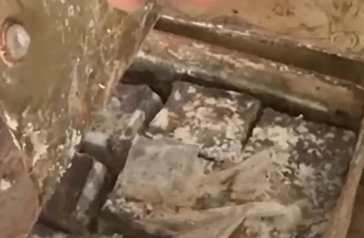 Konya'da mide bulandıran görüntüler! Küflü peynirleri eritip satıyorlardı