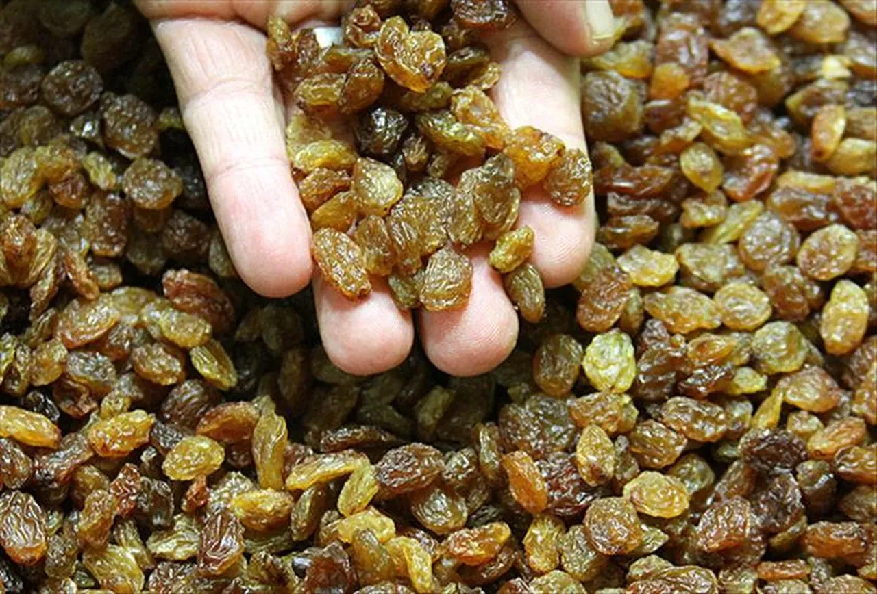 Sabahları bir avuç tüketmek yetiyor! Kalp krizi ve kanser riskini düşüren küçük şifa