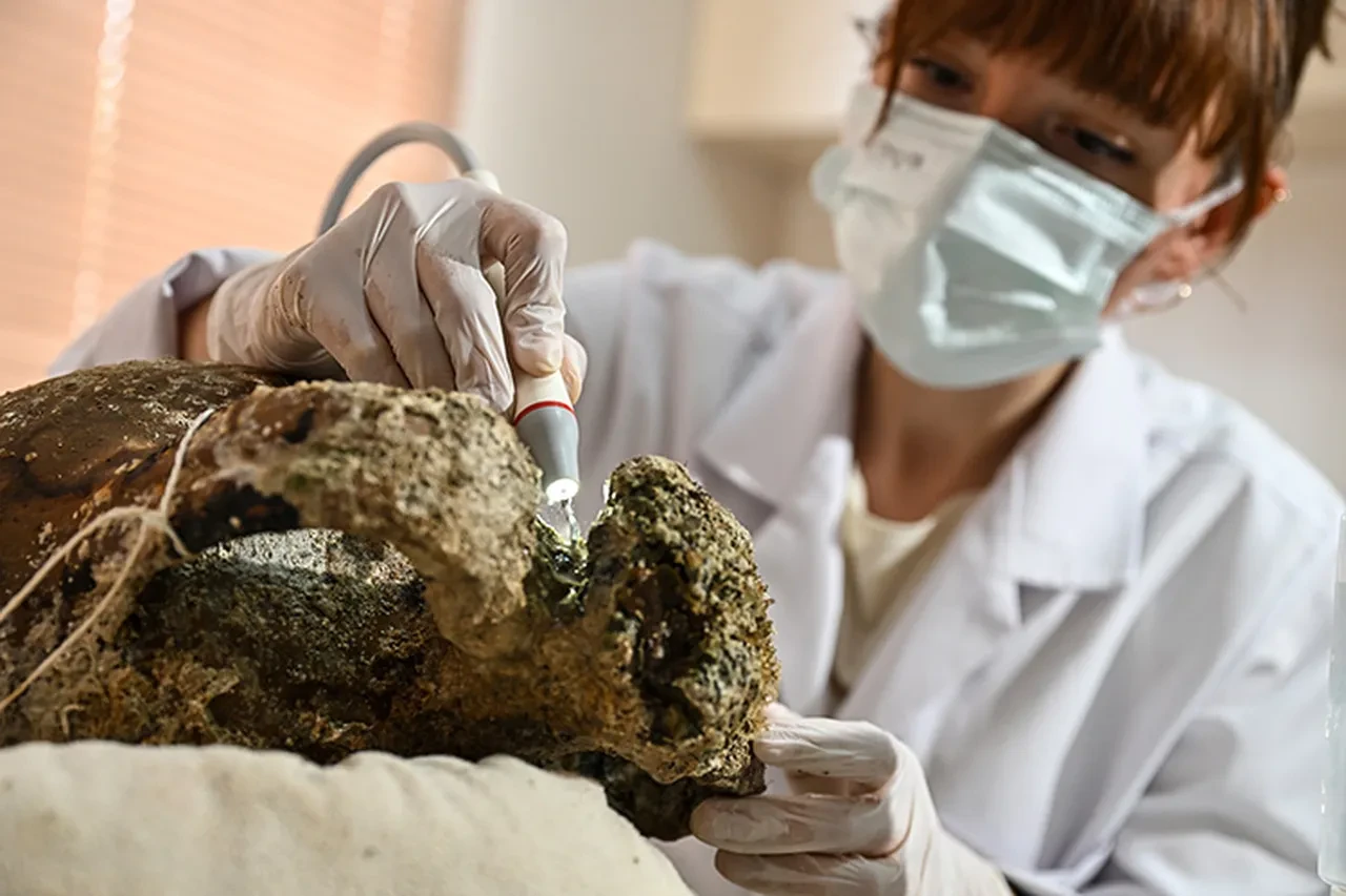 Türkiye'de 1100 yıllık amfora keşfi! Tarihin sırları ortaya çıkıyor