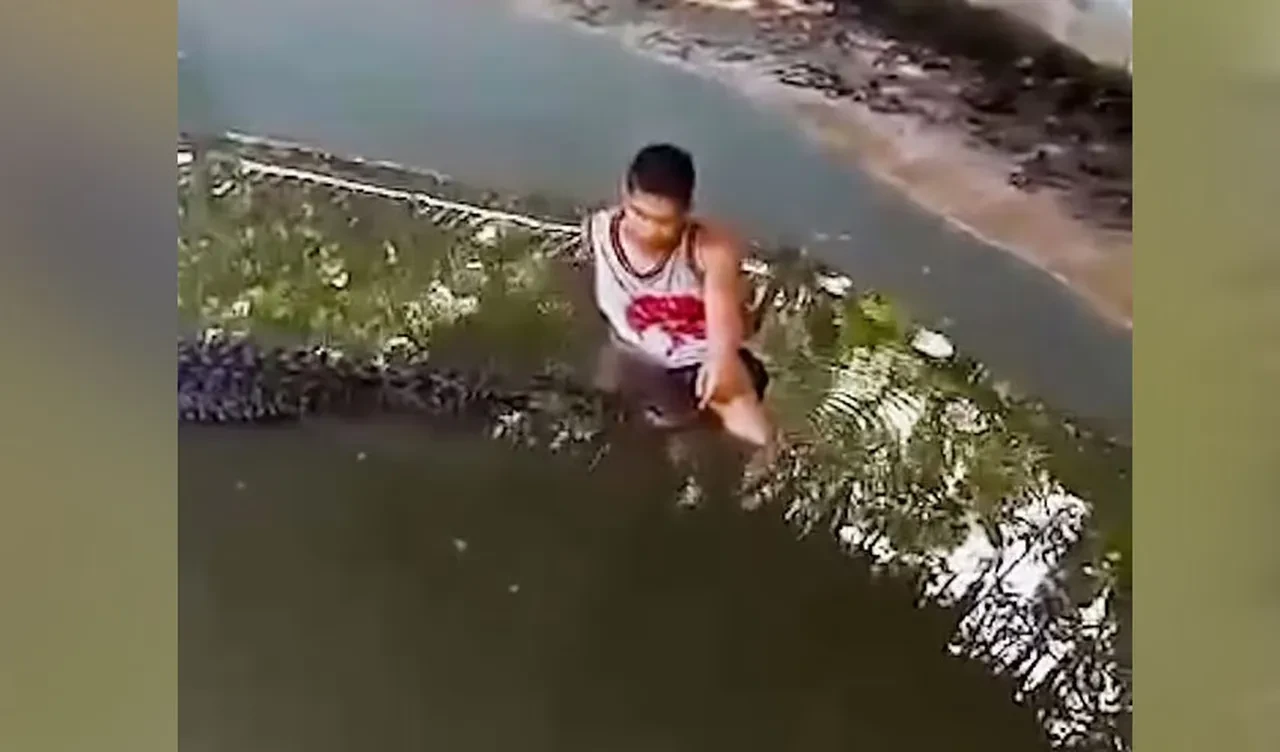 Heykel zannettiği timsahın saldırısına uğradı! Korkunç anlar kameraya böyle yansıdı