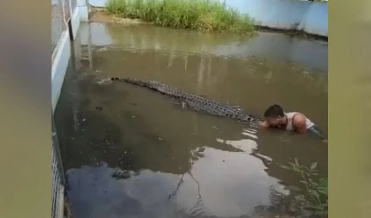 Heykel zannettiği timsahın saldırısına uğradı! Korkunç anlar kameraya böyle yansıdı