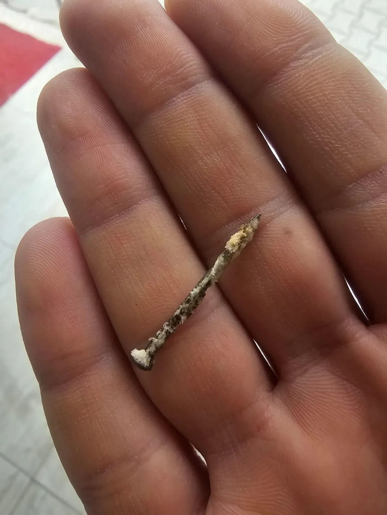 Kahvaltıda pes dedirten anlar! Ekmeği yutarken ağzında son anda fark etti