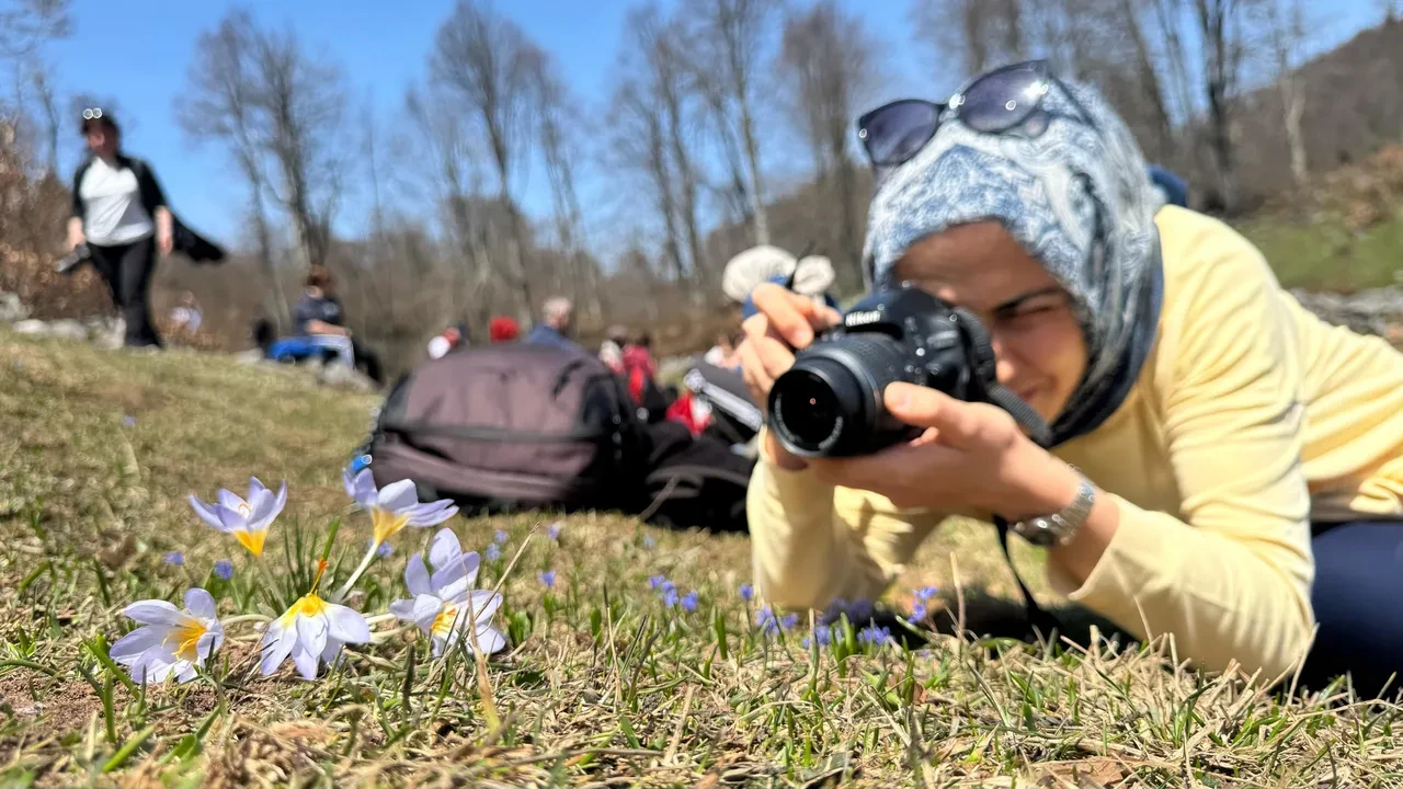 Sadece Kocaeli’de var! Türkiye’de yok olursa dünyada tamamen yok olur: 'Sakın koparmayın ve yemeyin'