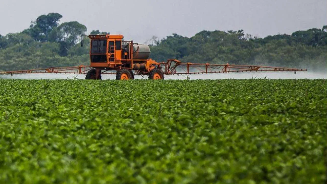Sofraların kâbusu pestisit nedir, hangi hastalıklara sebep olur?