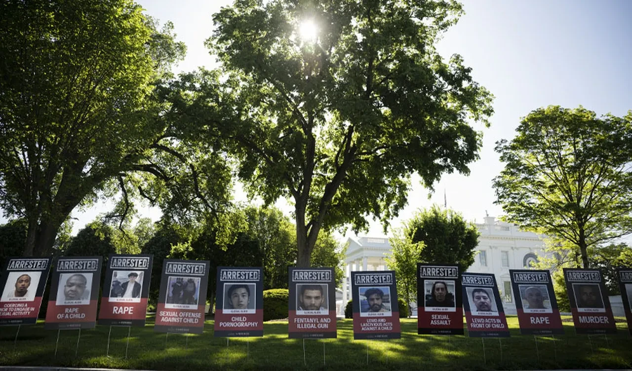 Trump yine yaptı yapacağını: Beyaz Saray'ın bahçesine gül yerine sabıkalı göçmen posterleri