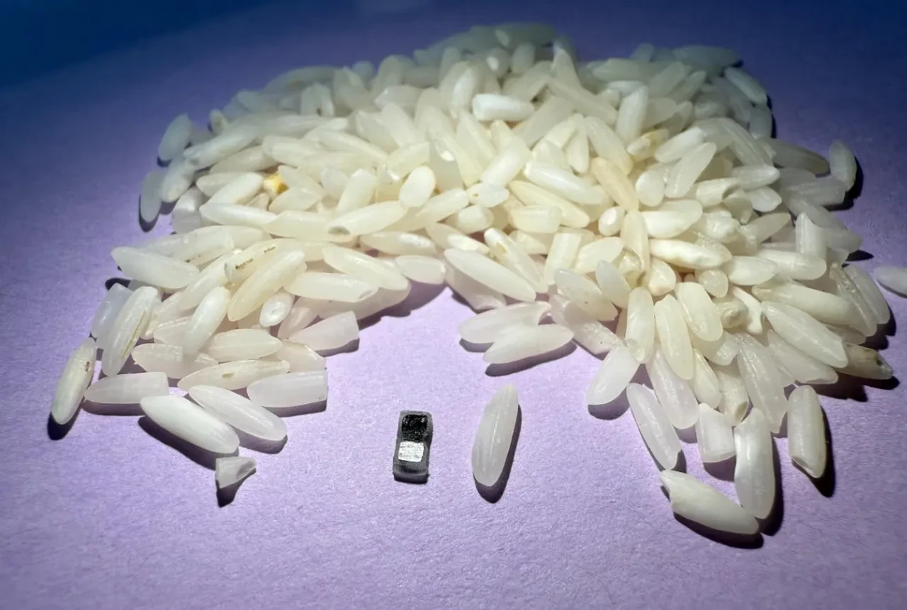 Dünyanın en küçük kalp pilini ürettiler! Pirinç tanesinin yarısı kadar