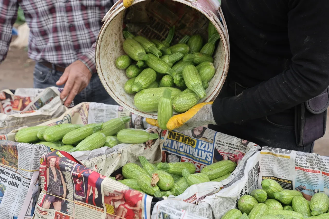 Fiyatı tarlada 60 markette 100 TL: Kuraklık vurdu, mahsul zayıf kaldı