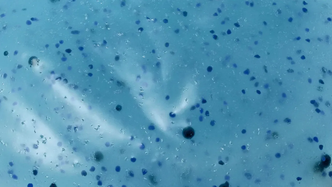 Her gün onlarcasını yemeye devam ediyoruz! Beyinde miktarı yüzde 50 artmış