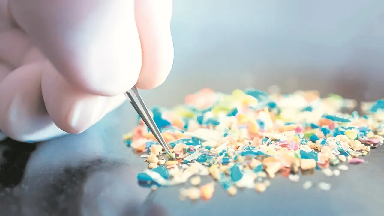 Her gün onlarcasını yemeye devam ediyoruz! Beyinde miktarı yüzde 50 artmış